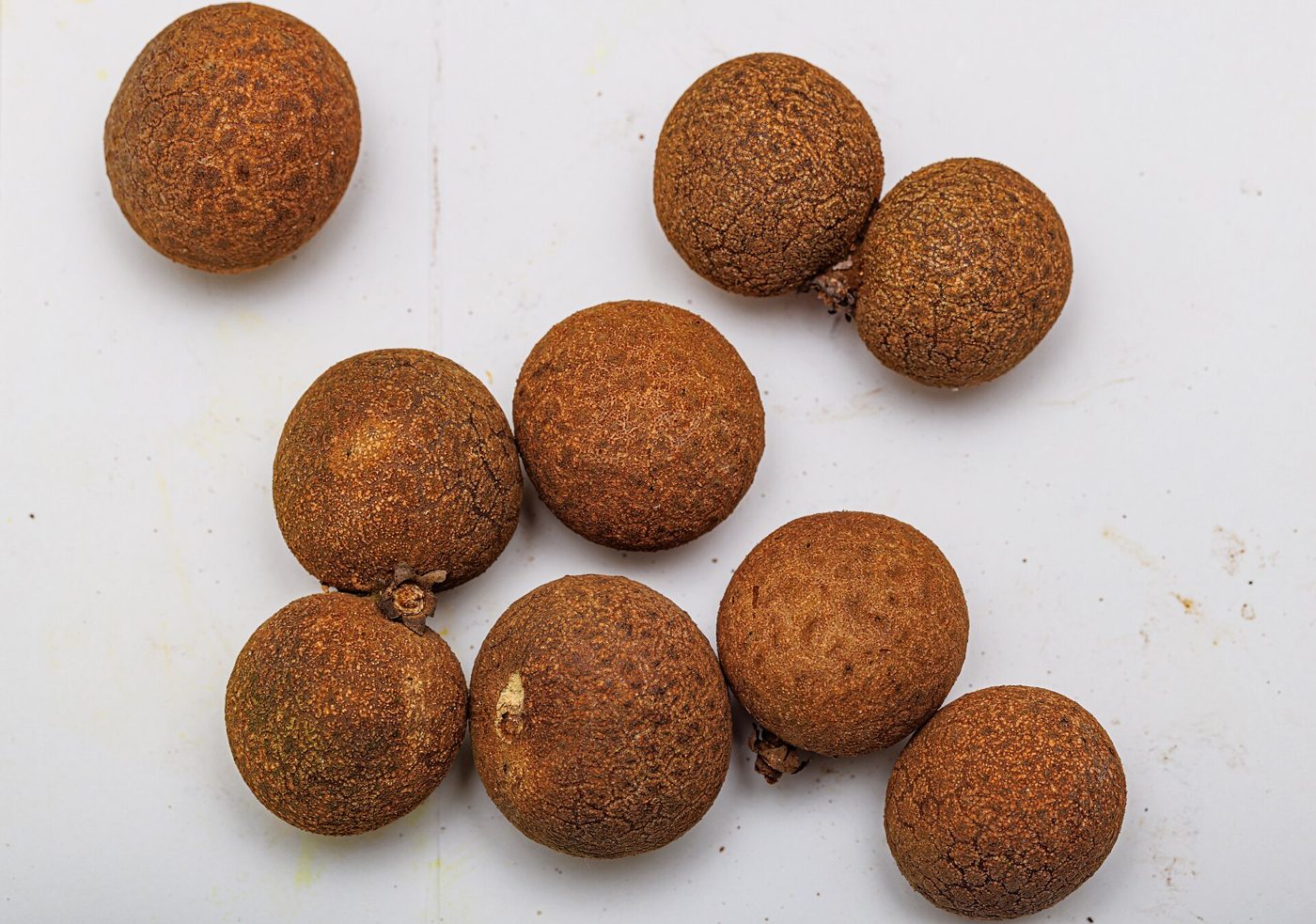 Clusters of ripe longan fruit still hanging on the branch, their thin brown skin ready to be peeled