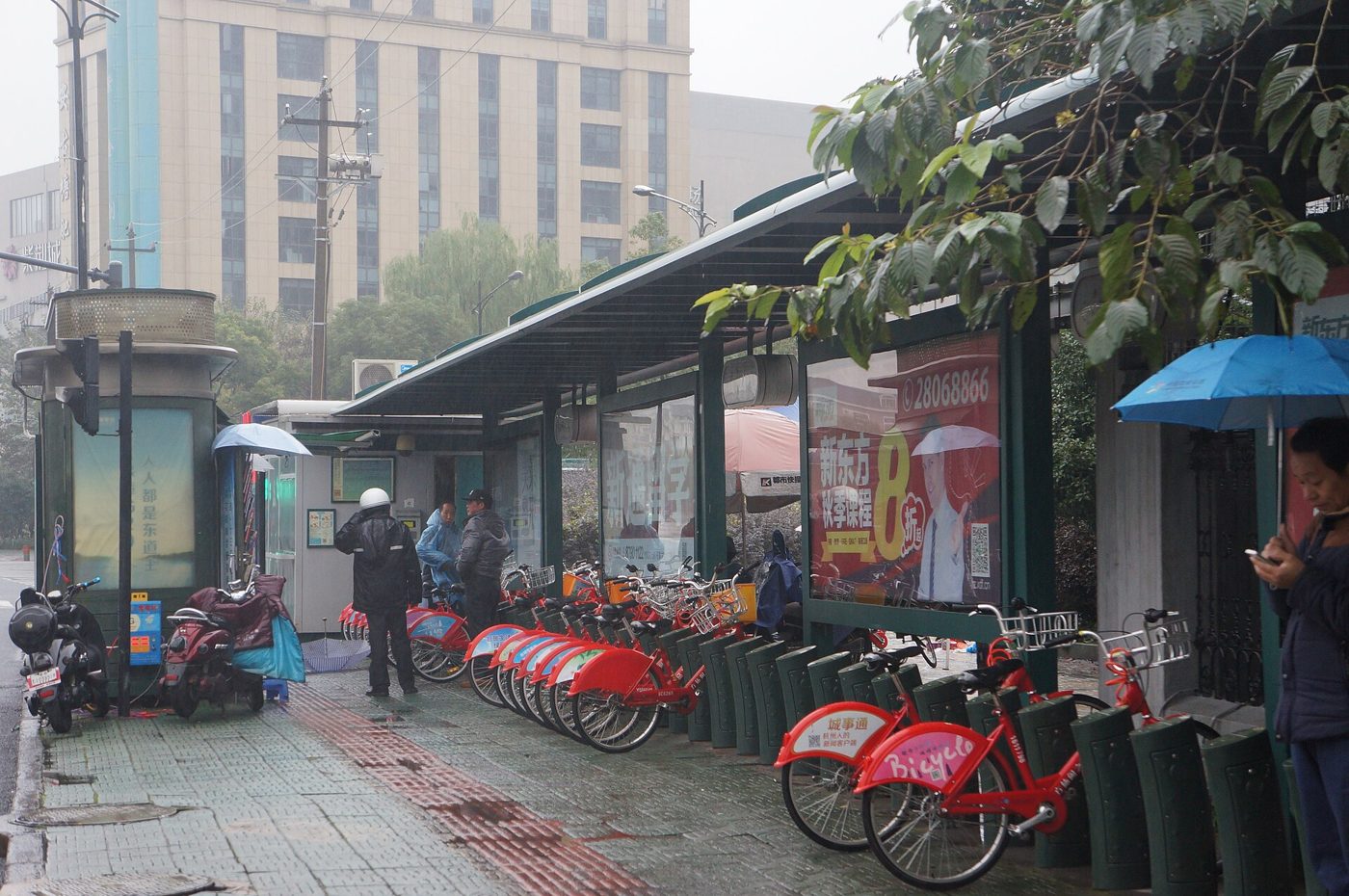 A row of public shared bicycles parked at a rack near Zhejiang University's Zijingang campus in Hangzhou.
