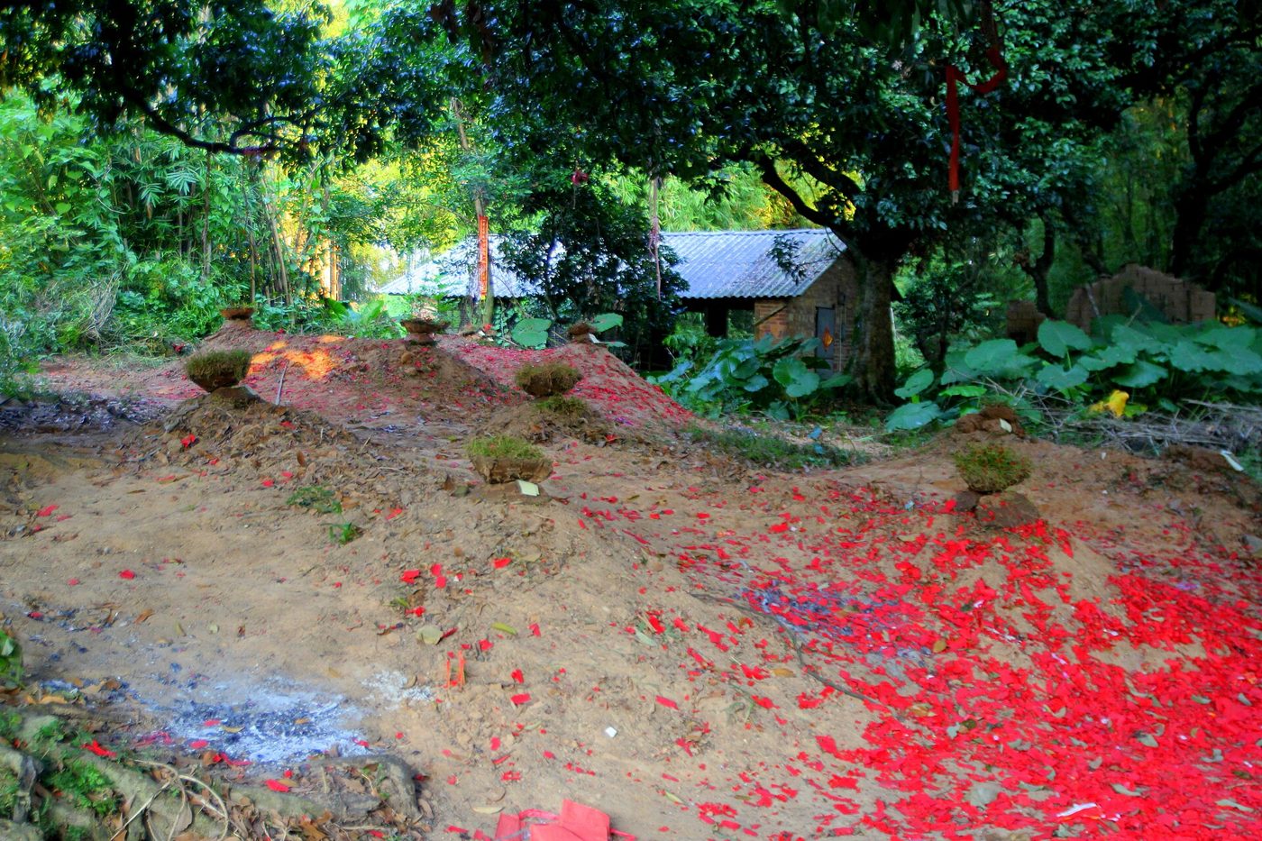 A street scene in Xian Tang Village, Dongguan, China, decorated for the Double Ninth Festival.