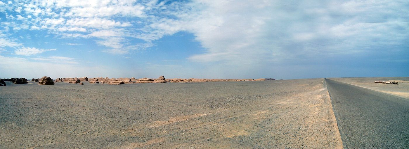 Wind carved yardang ridges stretching across the Gobi Desert under a pale sky, the kind of dry, wind scoured terrain that surrounds Gansu's rock art sites