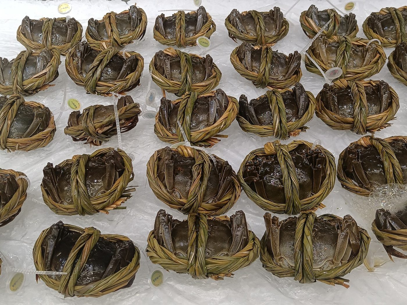 A heap of large hairy crabs from Yangcheng Lake piled together after harvest