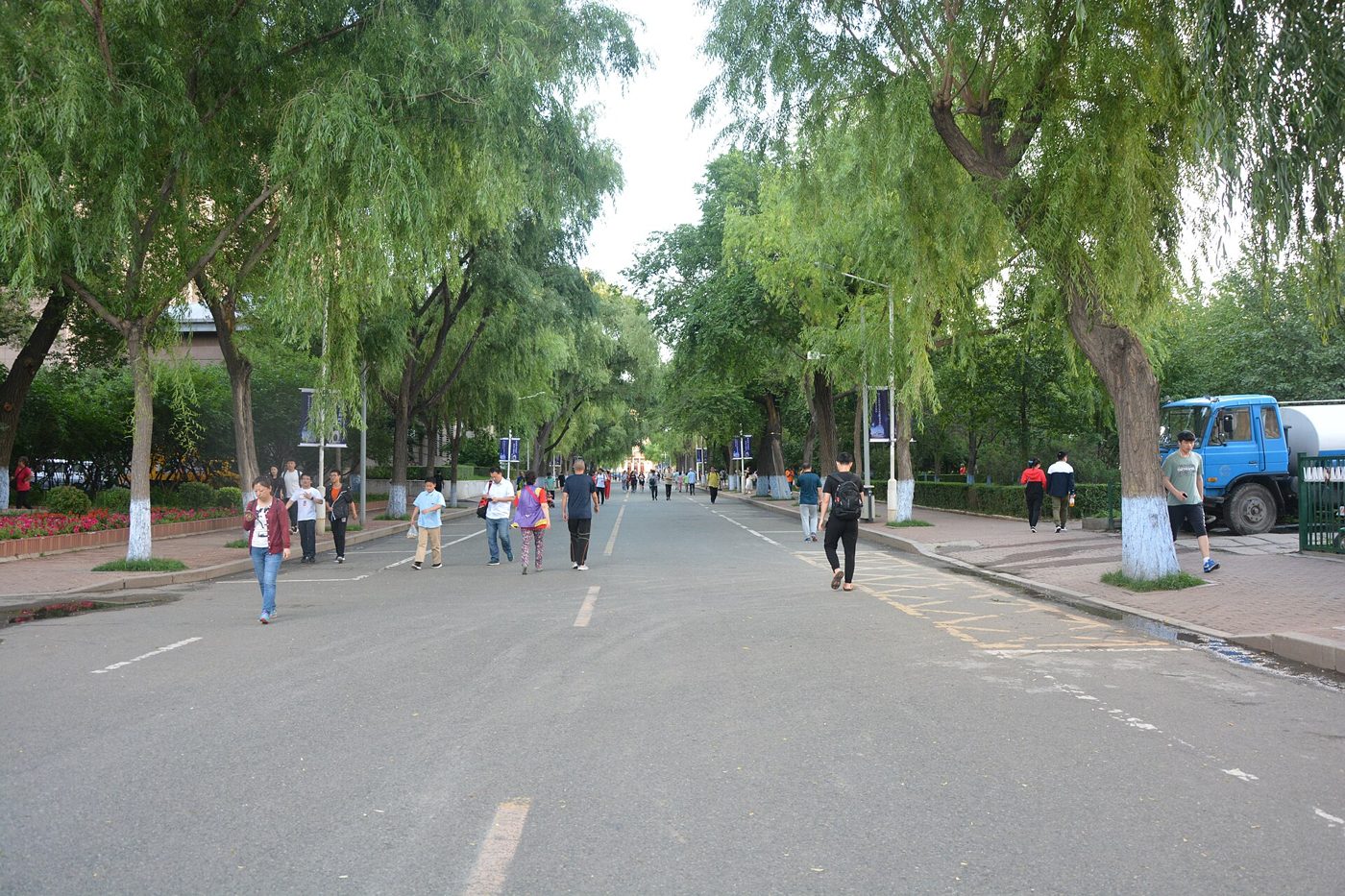 A tree-lined avenue on the Harbin Institute of Technology campus