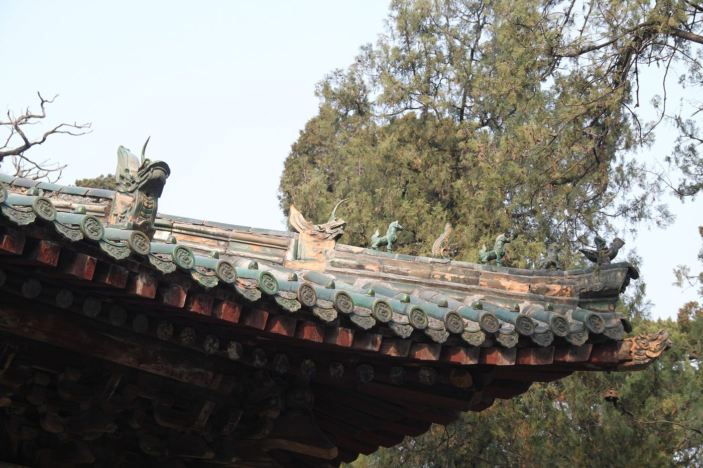 Wide view of the Confucius Temple complex in Qufu, Shandong, with its red walls and traditional Chinese roofs among trees