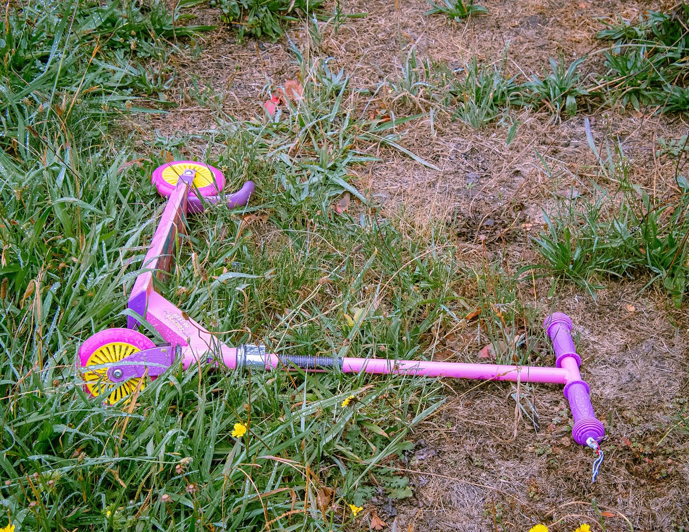 A pink and purple child's kick scooter with yellow wheels lying fallen in tall grass.