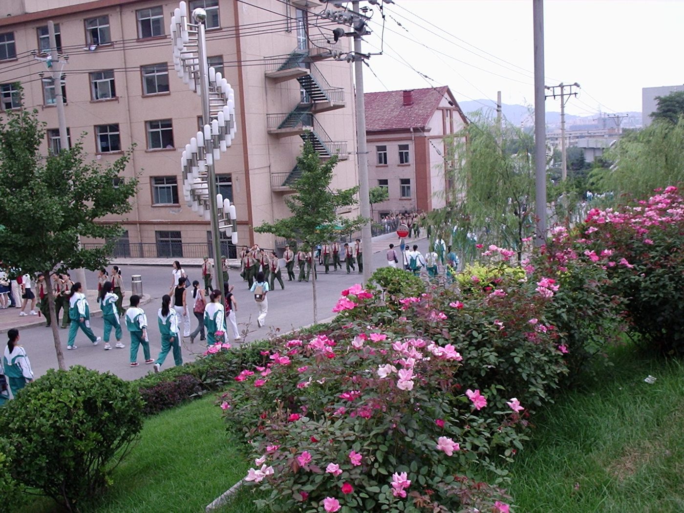 Chinese university freshmen in green military-training uniforms walking together back to their dormitory.