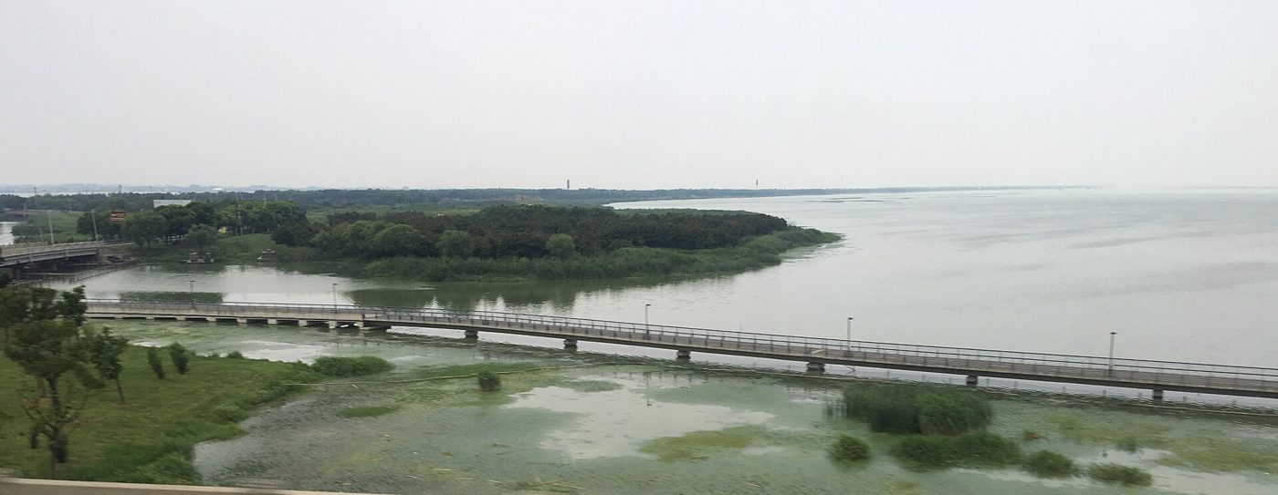The southern shore of Yangcheng Lake near Suzhou, calm water stretching toward a low green shoreline under an open sky.