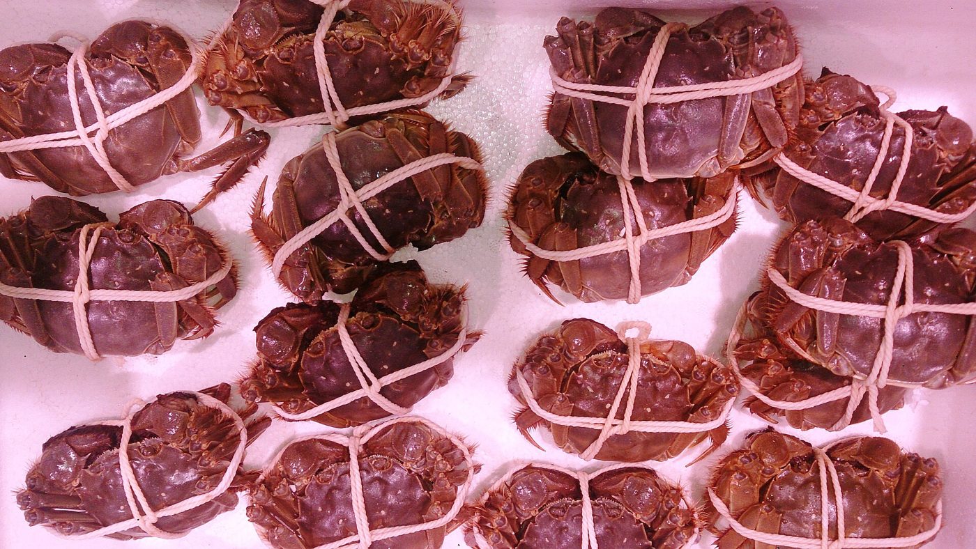 Hairy crabs displayed for sale at a market stall.