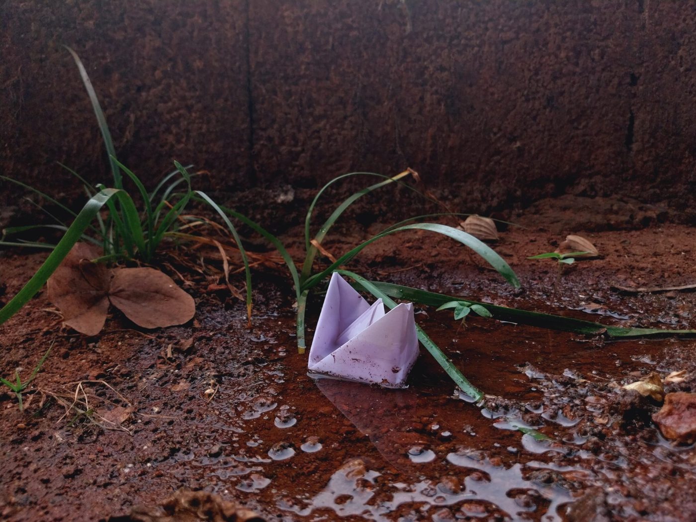 A small white paper boat floating in a rain puddle on a paved street after rainfall.